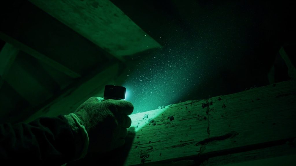 crotte de loir : repérez la et protégez votre grenier